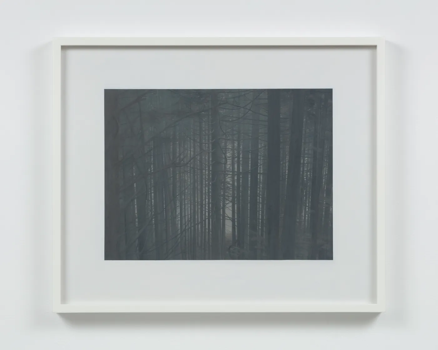 Andrew Grassie - Through the Trees (2022)