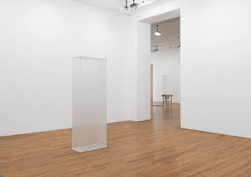 Antoine Catala: I Love You, I Love You (installation view)
