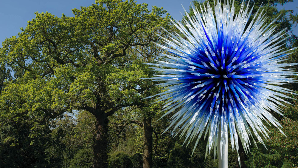dale chihuly - sapphire star