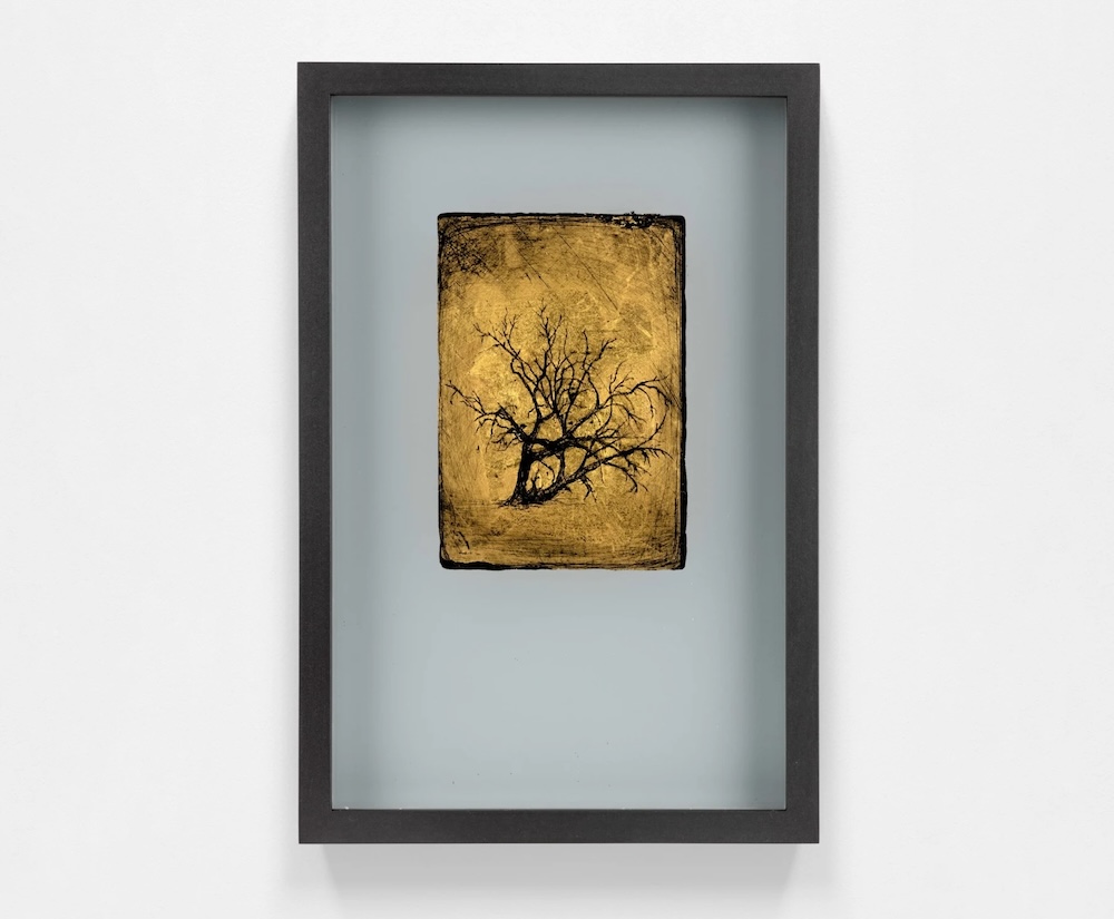 Miriam de Búrca &lsquo;Sentinel V - Drought&rsquo; (2024)