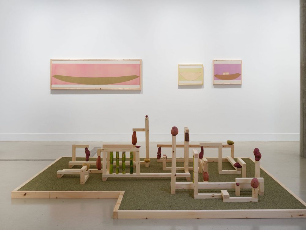 magdalena skupinska - installation view